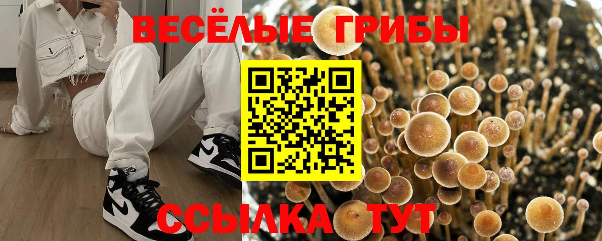 Галлюциногенные грибы MAGIC MUSHROOMS  Вход с VPN  Заинск 