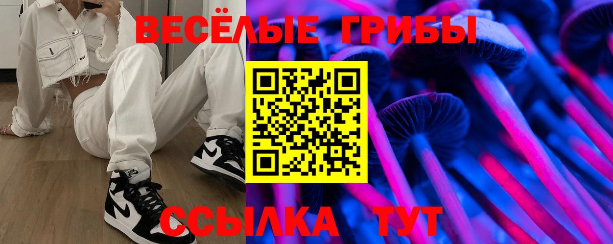 Псилоцибиновые грибы Psilocybe Заинск
